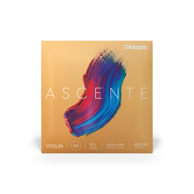 ascente violin string