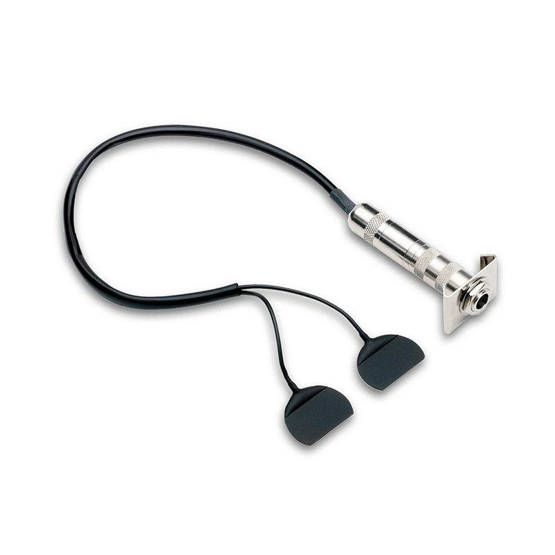 bass transducer