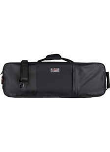 Black ProTec MAX oblong violin case